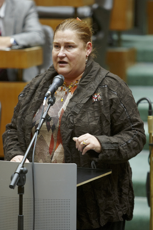 Nationalratsabgeordnete Petra Bayr (S) am Wort