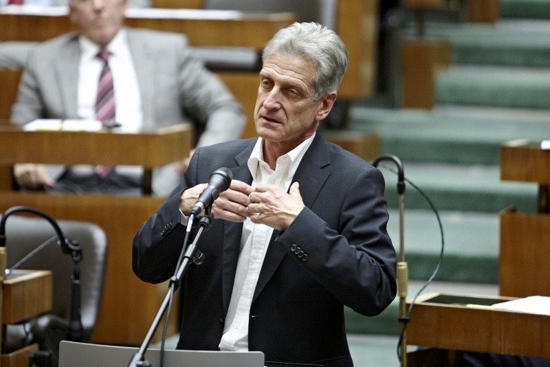 Klubobmann Josef Cap (S) am Wort