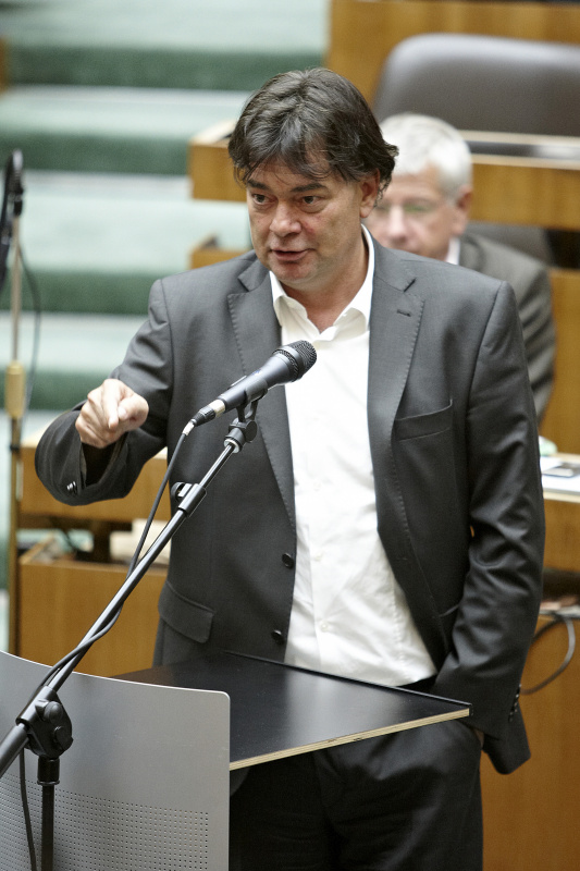 Nationalratsabgeordneter Werner Kogler (G) am Wort