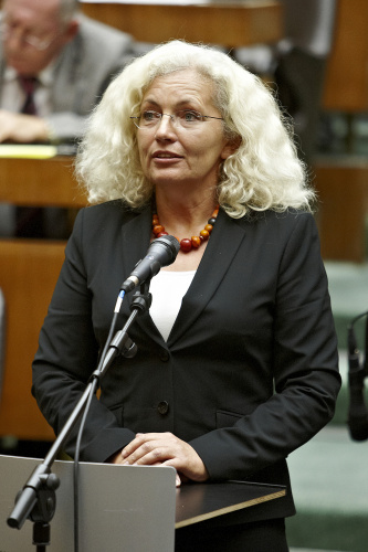 Europaabgeordnete Karin Kadenbach (S) am Wort