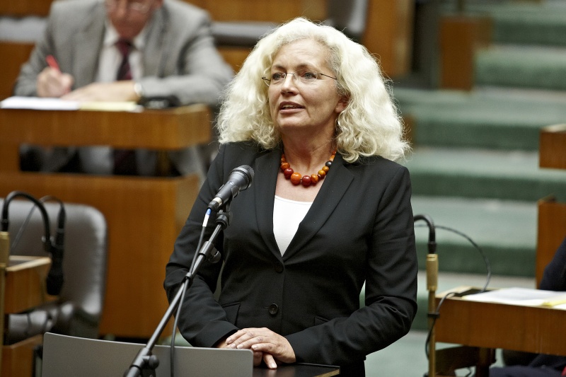 Europaabgeordnete Karin Kadenbach (S) am Wort