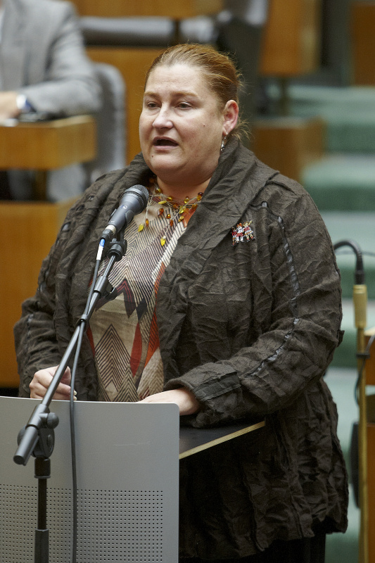 Nationalratsabgeordnete Petra Bayr (S) am Wort