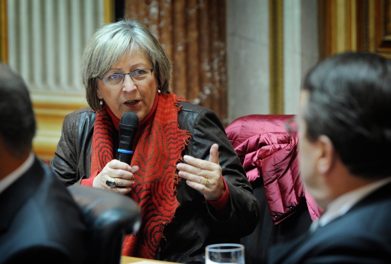 Mitglied des Europäischen Parlaments Evelin Lichtenberger (G) am Wort