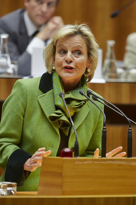 Rotary International Barbara Kamler-Wild am Rednerpult