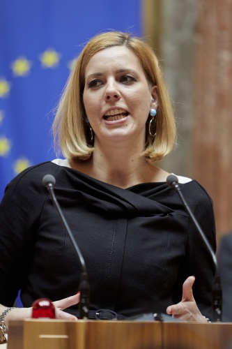 Abgeordnete zum Nationalrat Sonja Steßl-Mühlbacher (S) am Rednerpult