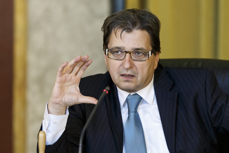 Ausschussobmann Nationalratsabgeordneter Peter Wittmann (S)