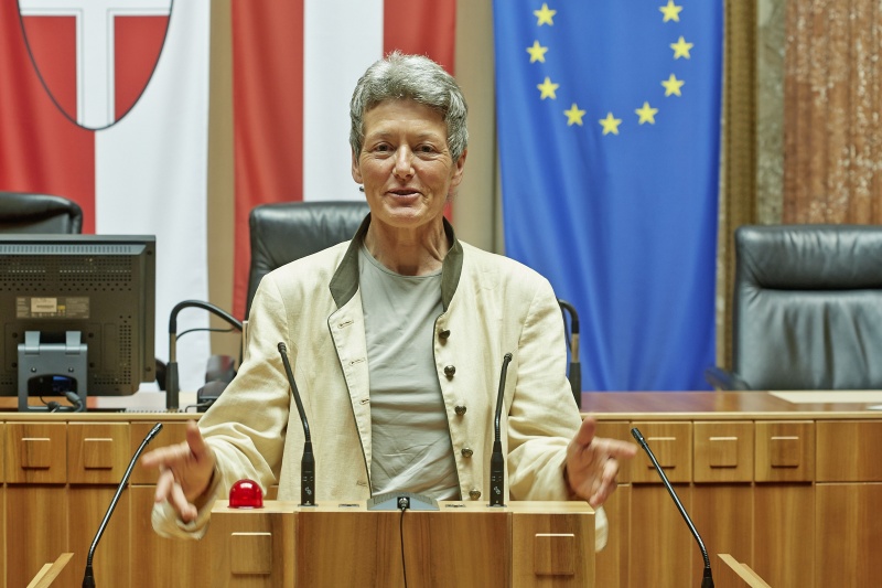 Bundesrätin Heidelinde Reiter (G) am Rednerpult