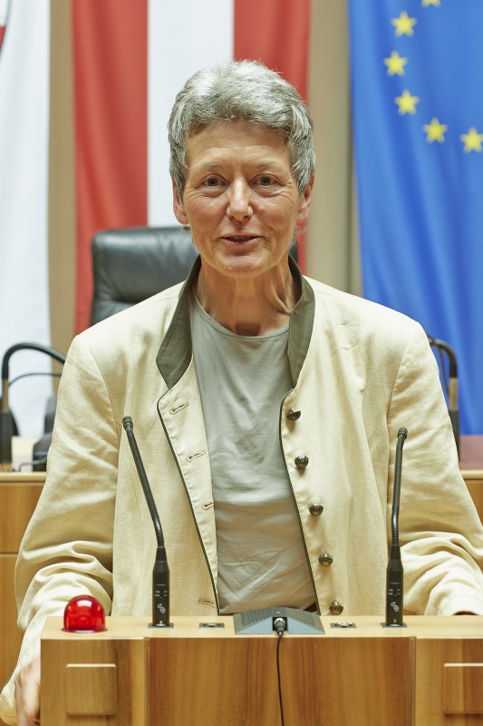 Bundesrätin Heidelinde Reiter (G) am Rednerpult