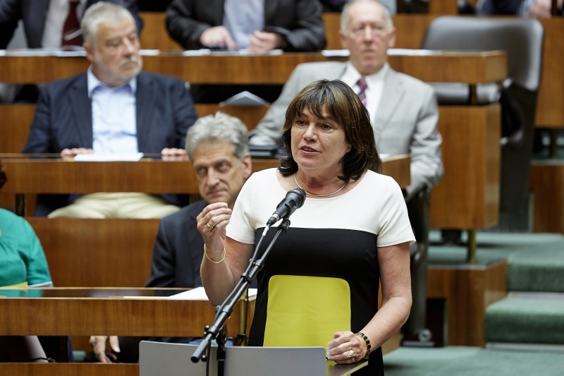 Nationalratsabgeordnete Gisela Wurm (S) bei ihrer Fragestellung am FragestellerInnenpult