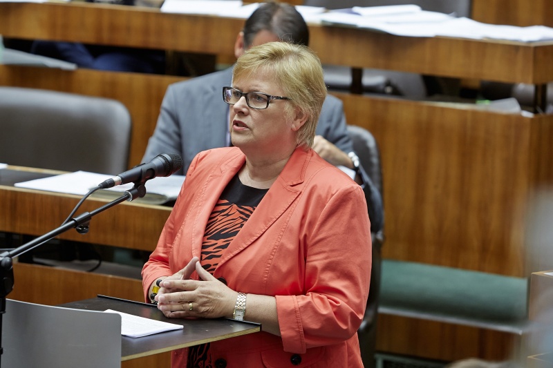 Nationalratsabgeordnete Dorothea Schittenhelm (V) bei ihrer Fragestellung am FragestellerInnenpult