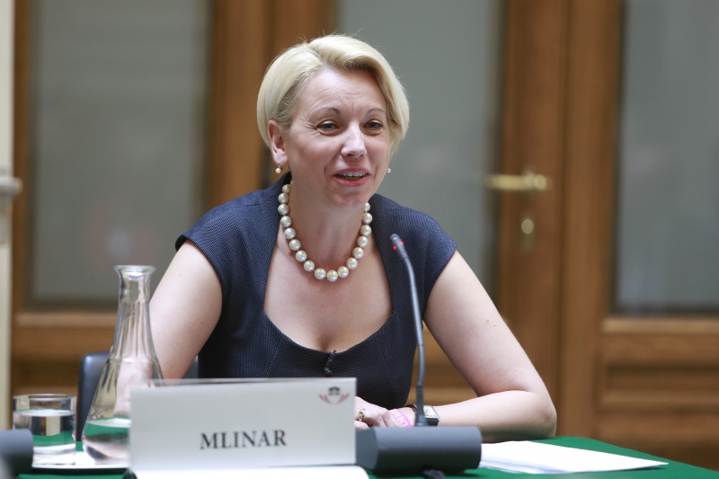 Nationalratsabgeordnete Angelika Mlinar (N) am Wort