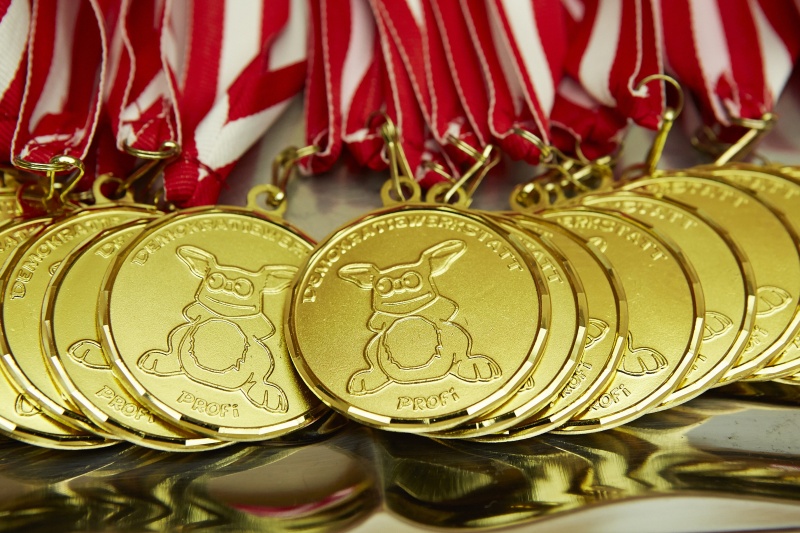 Demokratiewerkstatt-Profi-Medaillien