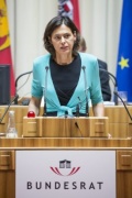 Leiterin der Wirtschaftspolitischen Abteilung der AK Wien Silvia Angelo bei ihrem Einleitungsstatement