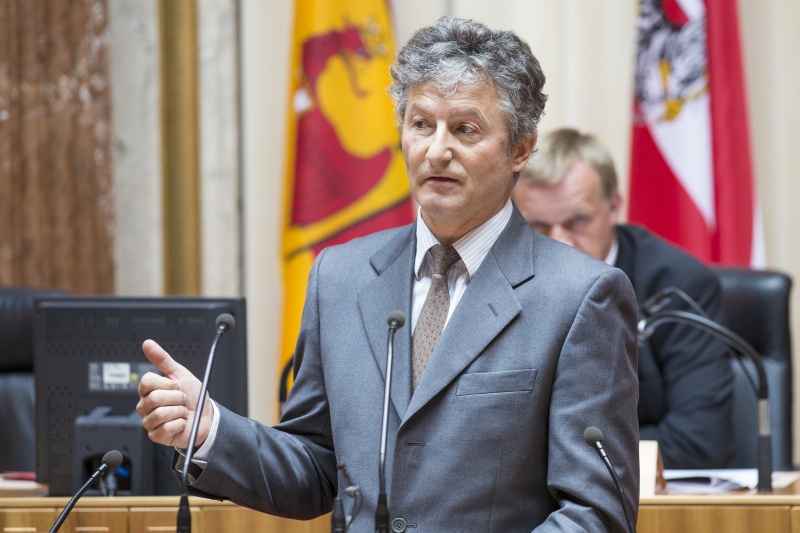 Geschäftsführer Renewable Energies Consulting Fritz Binder-Krieglstein bei seinem Einleitungsstatement