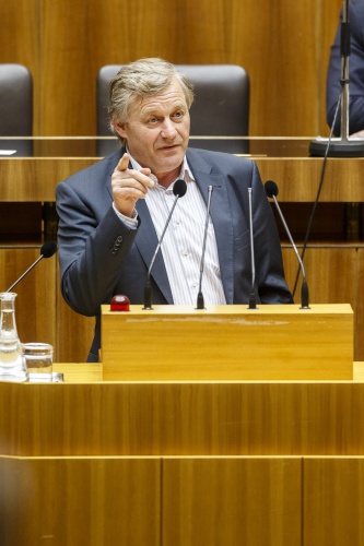 Nationalratsabgeordneter Franz Leonhard Essl (V) am Rednerpult