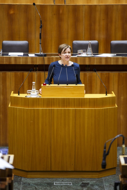 Nationalratsabgeordnete Judith Schwentner (G) am Rednerpult