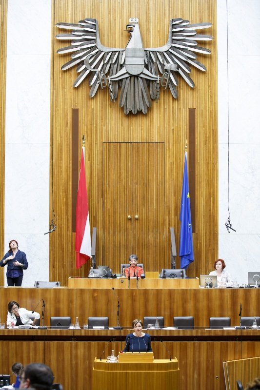 Nationalratsabgeordnete Judith Schwentner (G) am Rednerpult. Im Hintergrund auf der Regierungsbank Innenministerin Johanna Mikl-Leitner (V). Am Präsidium Nationalratspräsidentin Barbara Prammer (S)