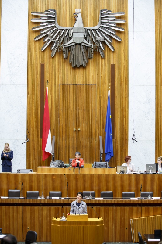 Nationalratsabgeordnete Michaela Steinacker (V) am Rednerpult. Am Präsidium Nationalratspräsidentin Barbara Prammer (S).