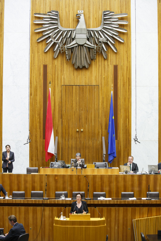 Nationalratsabgeordnete Tanja Windbuechler-Souschill (G) am Rednerpult. Am Präsidium Nationalratspräsidentin Barbara Prammer (S)