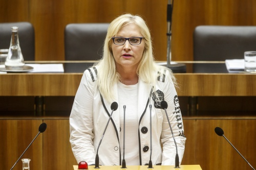 Nationalratsabgeordnete Angelika Winzig (V) am Rednerpult