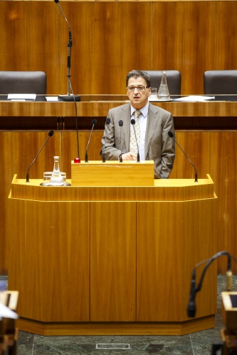 Nationalratsabgeordneter Peter Wittmann (S) am Rednerpult