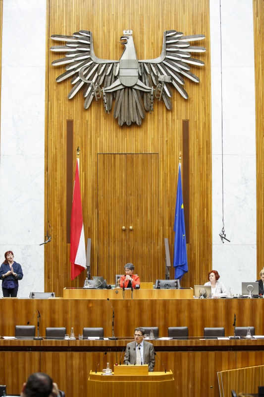 Nationalratsabgeordneter Peter Wittmann (S) am Rednerpult. Am Präsidium Nationalratspräsidentin Barbara Prammer (S).