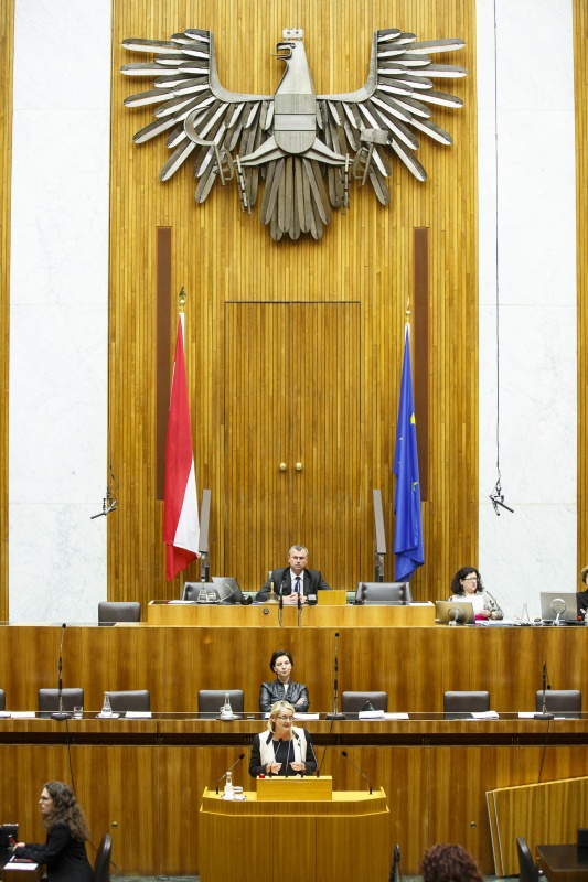 Nationalratsabgeordnete Carmen Gartelgruber (F) am Rednerpult. Im Hintergrund auf der Regierungsbank Unterrichtsministerin Gabriele Heinisch-Hosek (S). Am Präsidium Dritter Nationalratspräsident Norbert Hofer (F).