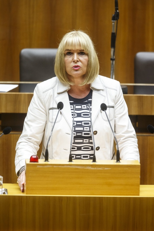Nationalratsabgeordnete Andrea Gessl-Ranftl (S) am Rednerpult