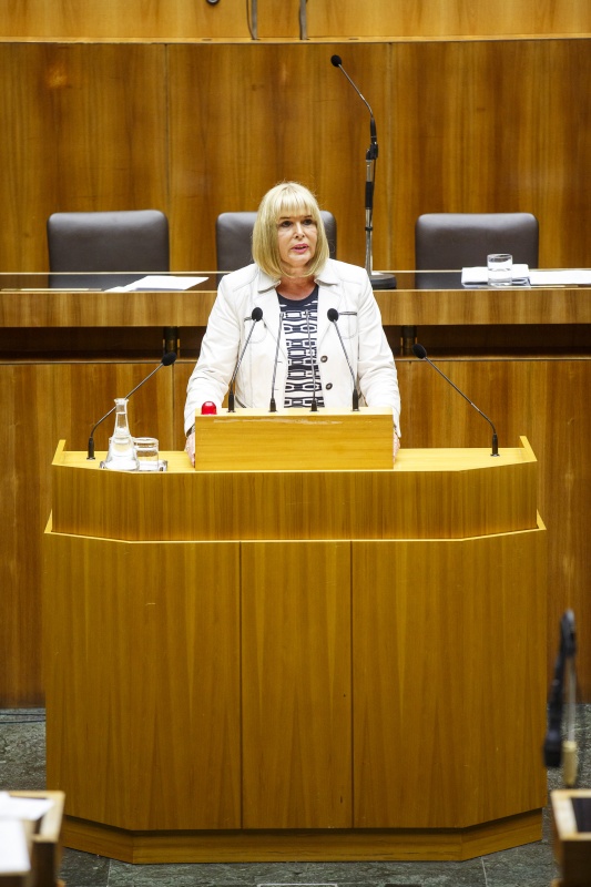 Nationalratsabgeordnete Andrea Gessl-Ranftl (S) am Rednerpult