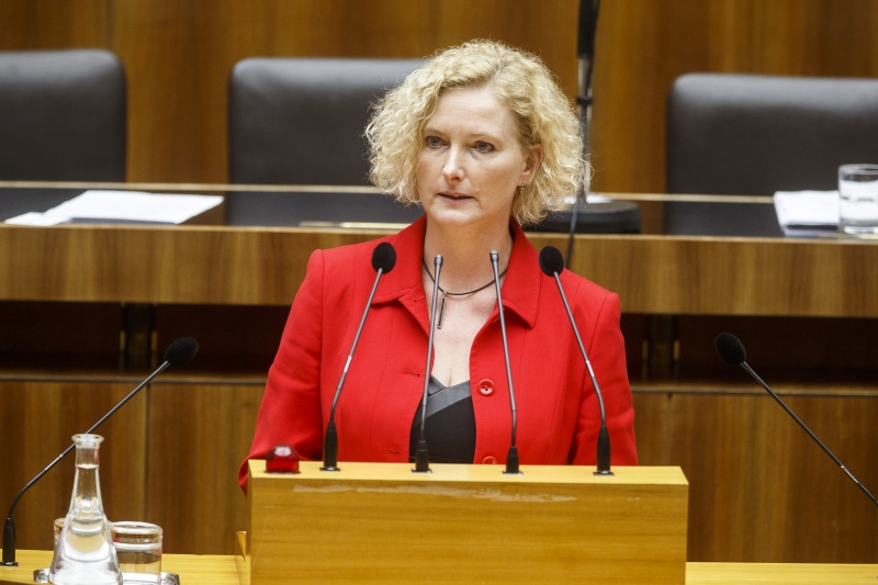 Nationalratsabgeordnete Karin Greiner (S) am Rednerpult