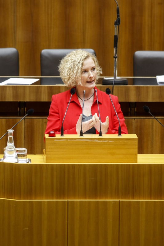 Nationalratsabgeordnete Karin Greiner (S) am Rednerpult