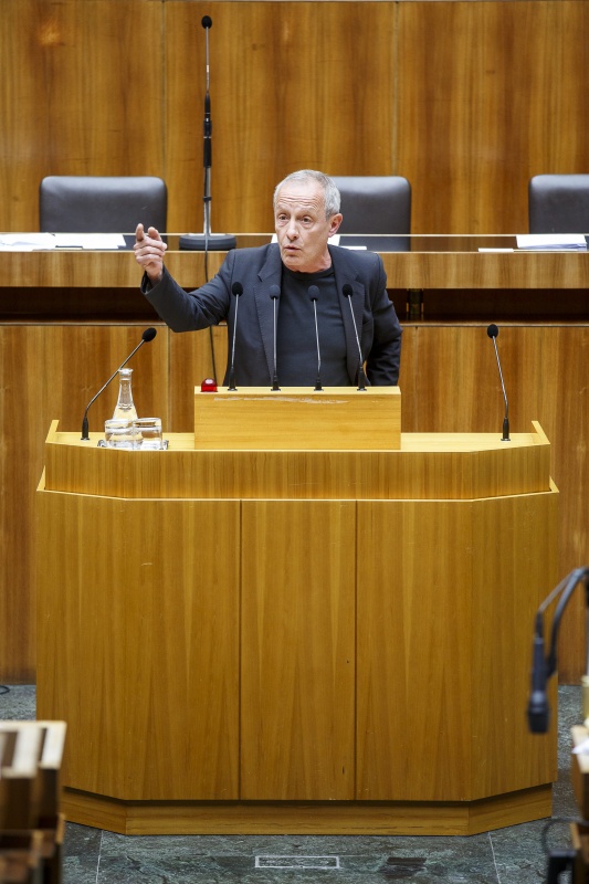 Nationalratsabgeordneter Peter Pilz (G) am Rednerpult