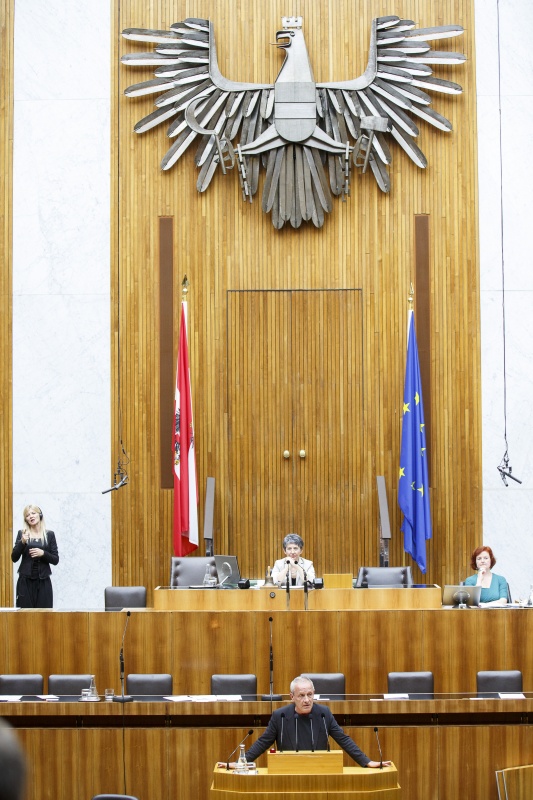 Nationalratsabgeordneter Peter Pilz (G) am Rednerpult. Am Präsidium Nationalratspräsidentin Barbara Prammer (S)