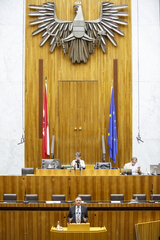 Nationalratsabgeordneter Johann Rädler (V) am Rednerpult. Am Präsidium Nationalratspräsidentin Barbara Prammer (S)