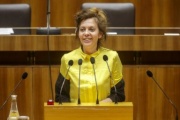 Nationalratsabgeordnete Birgit Schatz (G) am Rednerpult