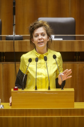 Nationalratsabgeordnete Birgit Schatz (G) am Rednerpult