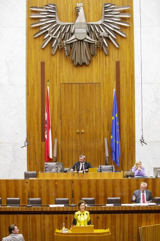 Nationalratsabgeordnete Birgit Schatz (G) am Rednerpult. Auf der Regierungsbank Sozialminister Rudolf Hundstorfer (S). Am Präsidium Dritter Nationalratspräsident Norbert Hofer (F)