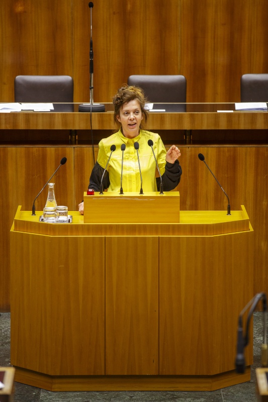 Nationalratsabgeordnete Birgit Schatz (G) am Rednerpult