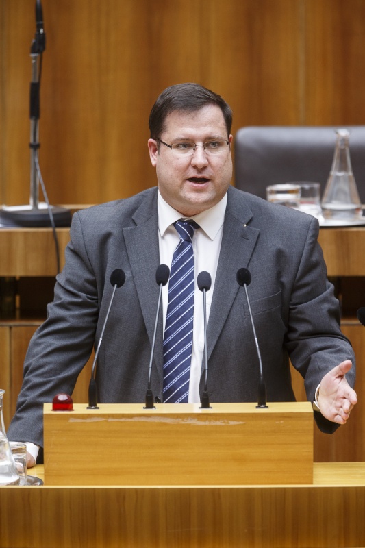 Nationalratsabgeordneter Christian Hafenecker (F) am Rednerpult