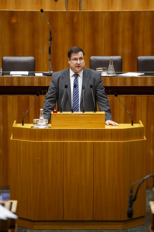 Nationalratsabgeordneter Christian Hafenecker (F) am Rednerpult