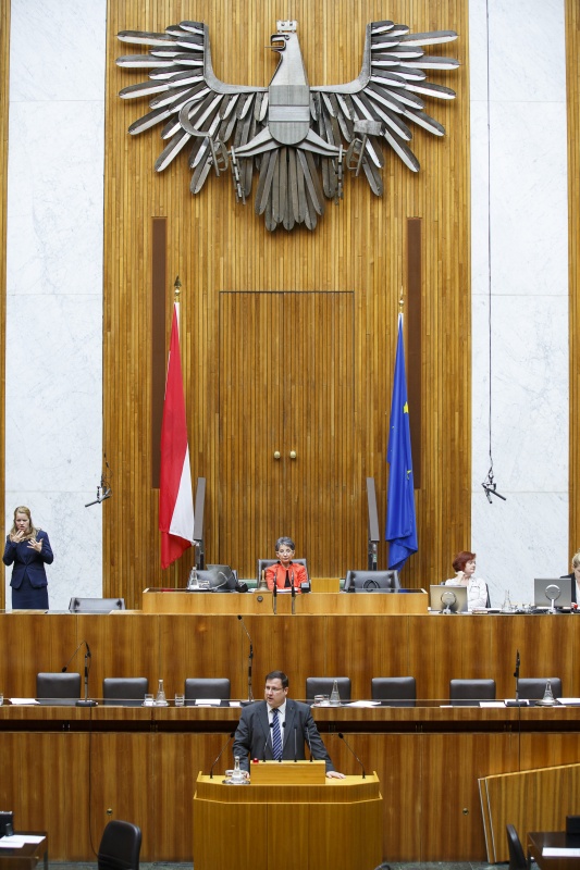Nationalratsabgeordneter Christian Hafenecker (F) am Rednerpult. Am Präsidium Nationalratspräsidentin Barbara Prammer (S).