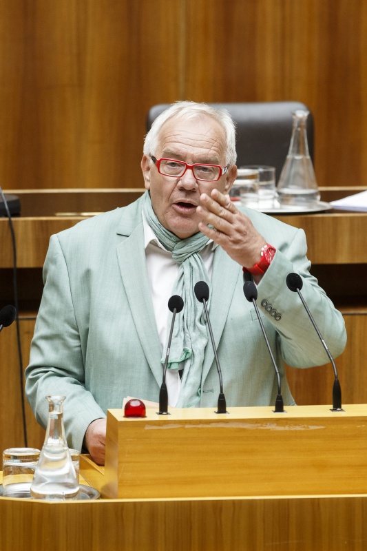 Nationalratsabgeordneter Anton Heinzl (S) am Rednerpult