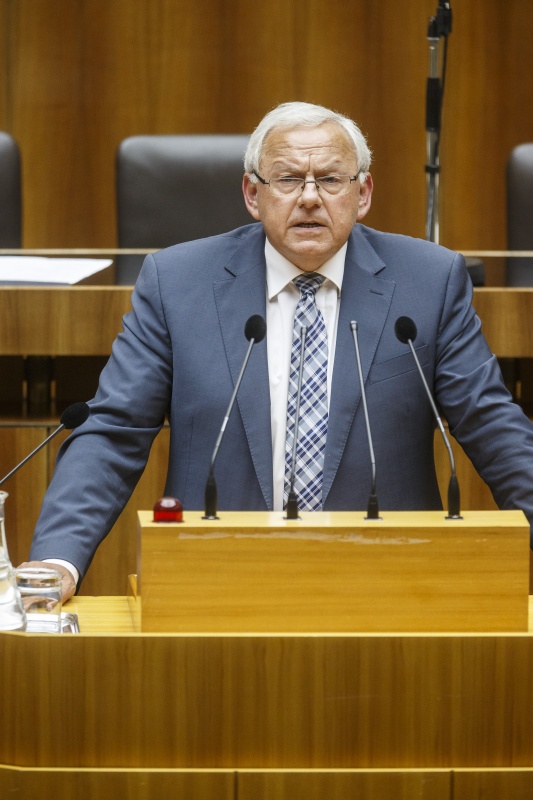 Nationalratsabgeordneter Johann Hell (S) am Rednerpult