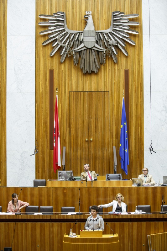 Nationalratsabgeordneter Julian Schmid (G) am Rednerpult. Auf der Regierungsbank Familienministerin Sophie Karmasin (V) und Staatssekretärin Sonja Steßl (S). Am Präsidium Dritter Nationalratspräsident Norbert Hofer (F).