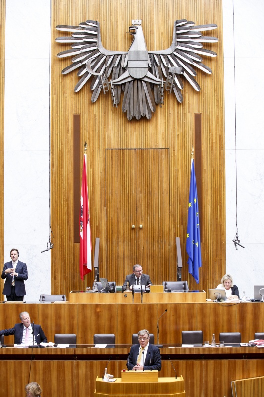Nationalratsabgeordneter Bernhard Themessl (F) am Rednerpult. Auf der Regierungsbank Wirtschaftsminister Reinhold Mitterlehner (V). Am Präsidium Zweiter Nationalratspräsident Karlheinz Kopf (V)