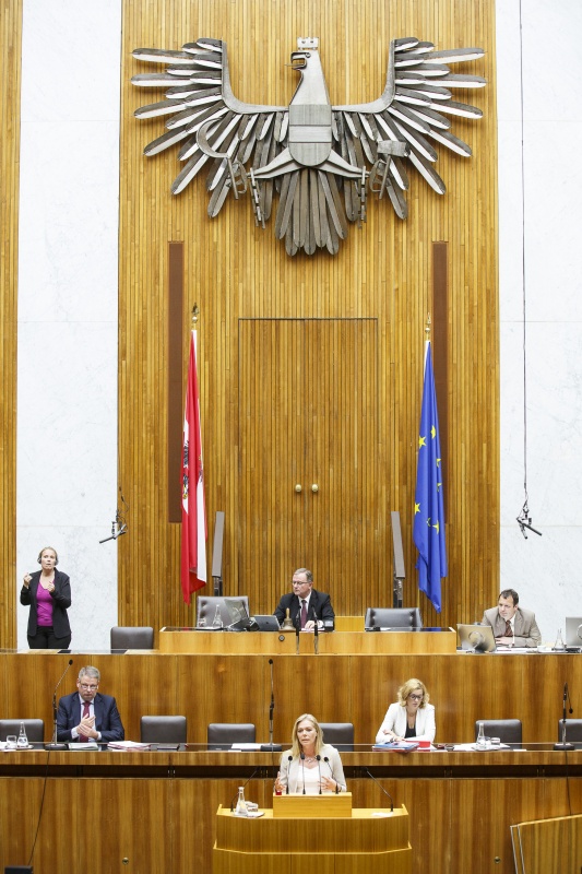 Nationalratsabgeordnete Ulrike Weigerstorfer (T) am Rednerpult. Auf der Regierungsbank v.li.: Landwirtschaftsminister Andrä Rupprechter (V) und Staatssekretärin Sonja Steßl (S). Am Präsidium Zweiter Nationalratspräsident Karlheinz Kopf (V).