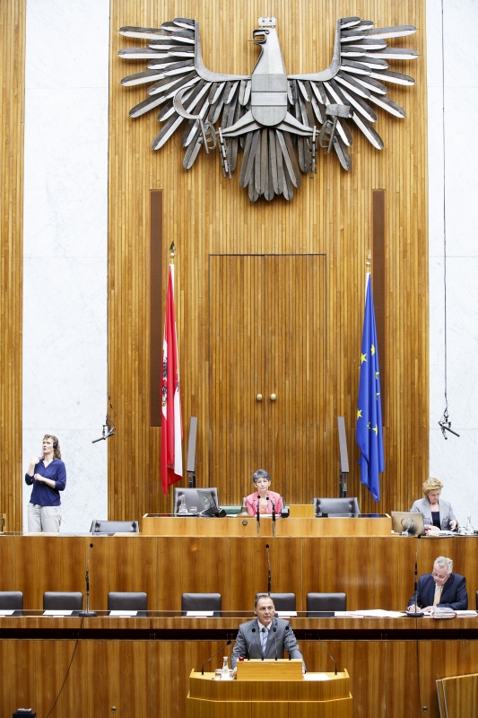 Nationalratsabgeordneter Peter Wurm (F) am Rednerpult. Auf der Regierungsbank Sozialminister Rudolf Hundstorfer (S). Am Präsidium Nationalratspräsidentin Barbara Prammer (S).