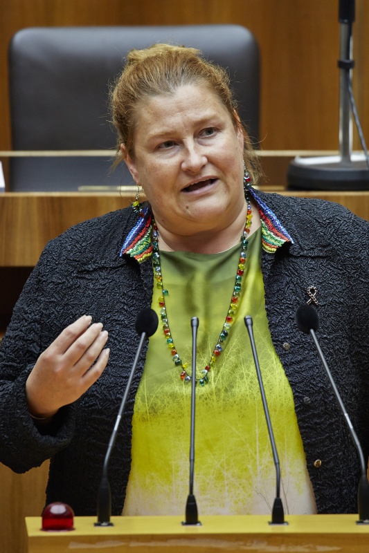 Nationalratsabgeordnete Petra Bayr (S) am Rednerpult