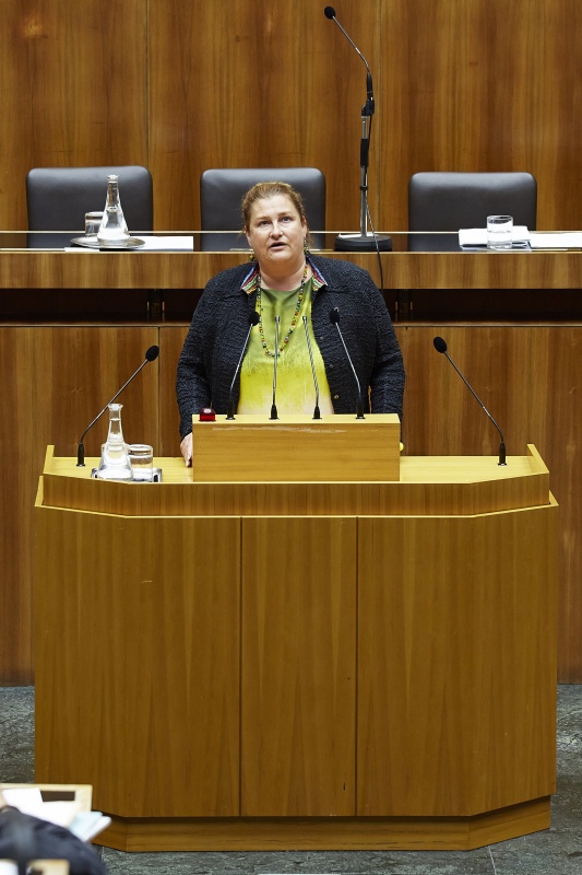 Nationalratsabgeordnete Petra Bayr (S) am Rednerpult