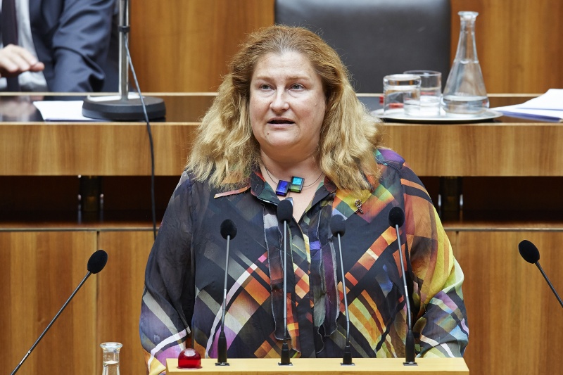 Nationalratsabgeordnete Petra Bayr (S) am Rednerpult